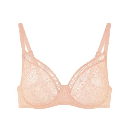 Comete Full Support Bra Isolated