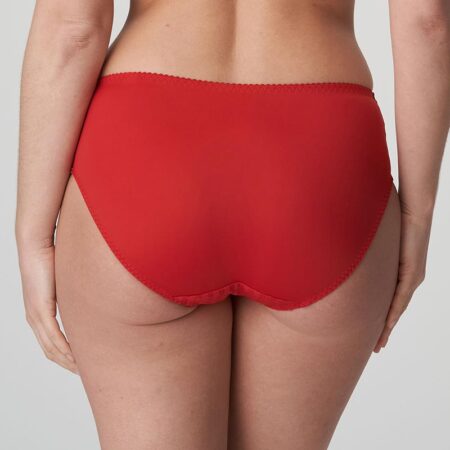 Madison Full Brief Panty Back
