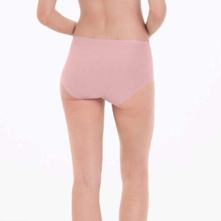 Anita Essentials High Waist Brief Rosewood Back