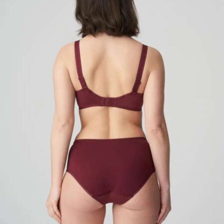 Orlando Deep Cherry Bra Back