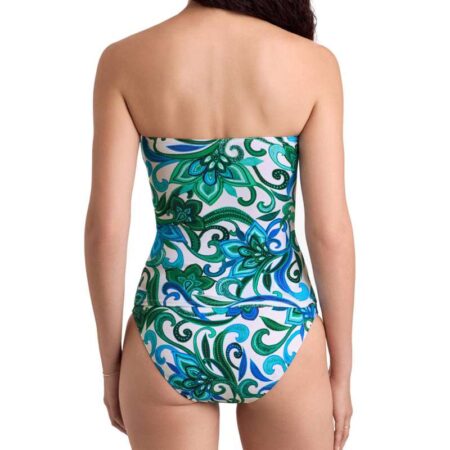 Shapesolver Imperial Bandini Back